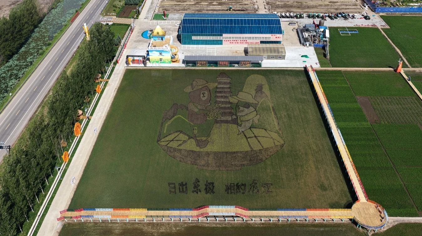 微信图片_20250630092829.jpg