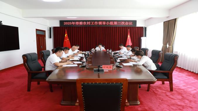 撫遠市召開2025年市委農(nóng)村工作領導小組第二次會議